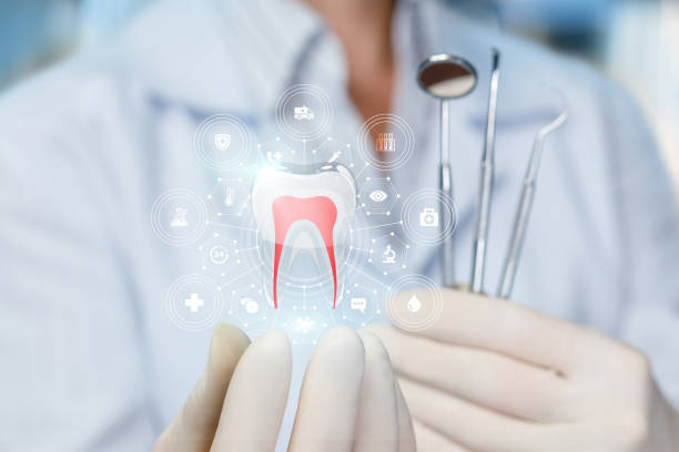 Reliable Princeton, WI  Holistic Dental Services Solutions